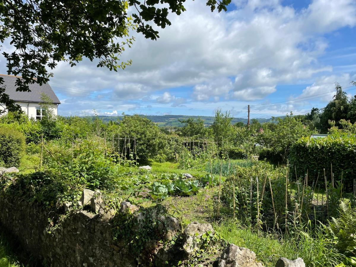 St Reatham Cottage Kilmington  Экстерьер фото